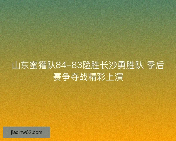 山东蜜獾队84-83险胜长沙勇胜队 季后赛争夺战精彩上演